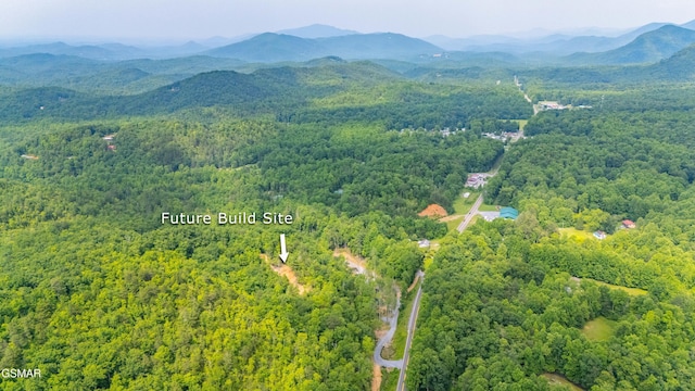 5145 E Parkway Pkwy, Cosby, TN 37722 - drone / aerial view of a heavily wooded area and a mountainous background
