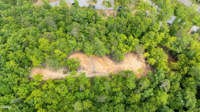 5145 E Parkway Pkwy, Cosby, TN 37722 - drone / aerial view