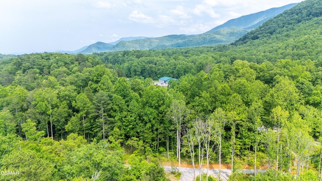 5145 E Parkway Pkwy, Cosby, TN 37722 - view of mountain background featuring a heavily wooded area