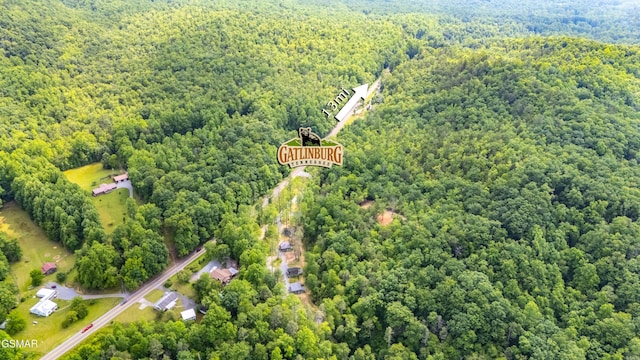 5145 E Parkway Pkwy, Cosby, TN 37722 - drone / aerial view of a forest