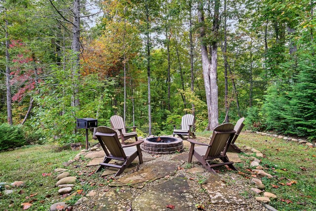 view of yard with a patio area and an outdoor fire pit