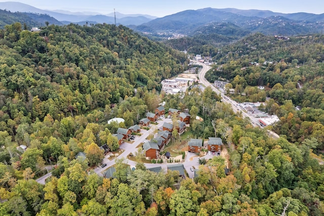 drone / aerial view featuring a mountain view