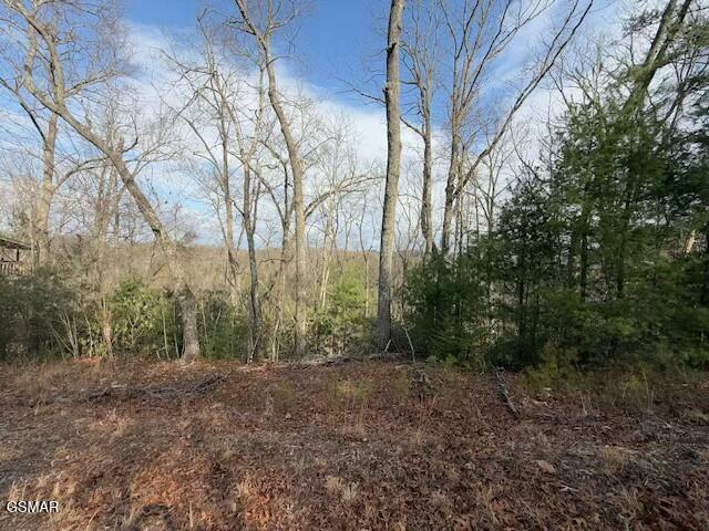 973 Ridgefield Dr, Sevierville TN, 37876 land for sale