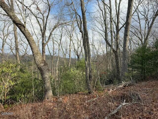 Listing photo 2 for 973 Ridgefield Dr, Sevierville TN 37876