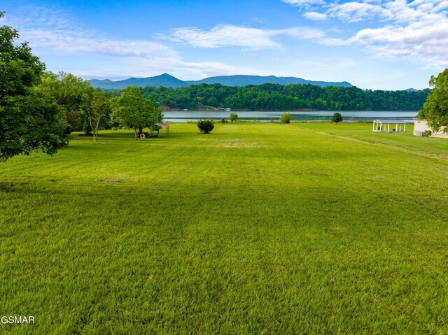 2605 Indian Creek Rd, Dandridge, TN 37725 - photo 9