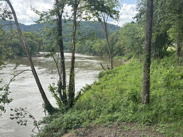 864 Fugate Rd, Del Rio, TN 37727 - water view featuring a heavily wooded area