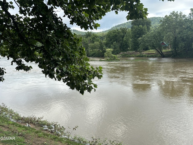 864 Fugate Rd, Del Rio, TN 37727 - water view featuring a forest