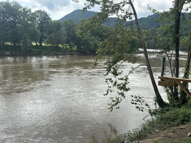 864 Fugate Rd, Del Rio, TN 37727 - water view featuring a mountain backdrop and a heavily wooded area