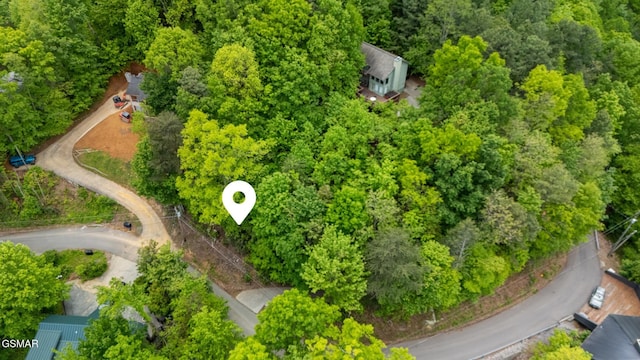 0 Zurich Rd, Gatlinburg, TN 37738 - photo 6