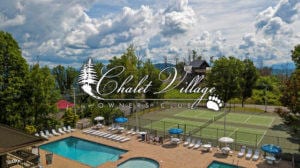 0 Zurich Rd, Gatlinburg, TN 37738 - photo 21
