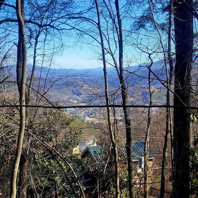 0 Zurich Rd, Gatlinburg, TN 37738 - photo 18
