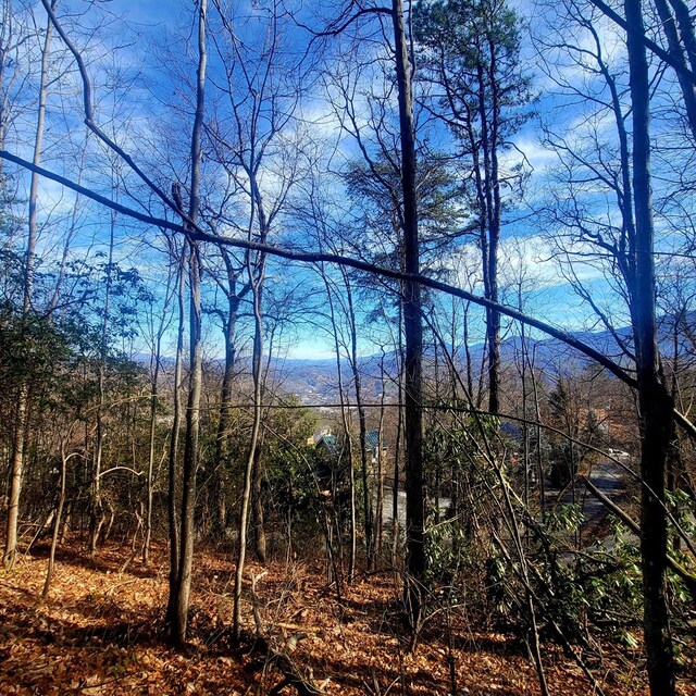 0 Zurich Rd, Gatlinburg, TN 37738 - photo 19