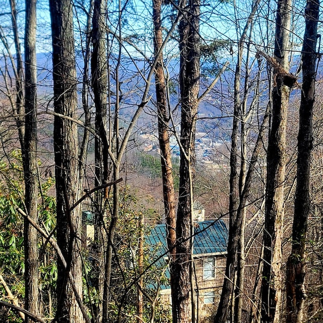 0 Zurich Rd, Gatlinburg, TN 37738 - photo 16