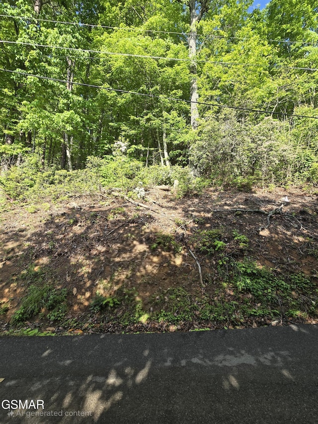 0 Zurich Rd, Gatlinburg, TN 37738 - photo 24