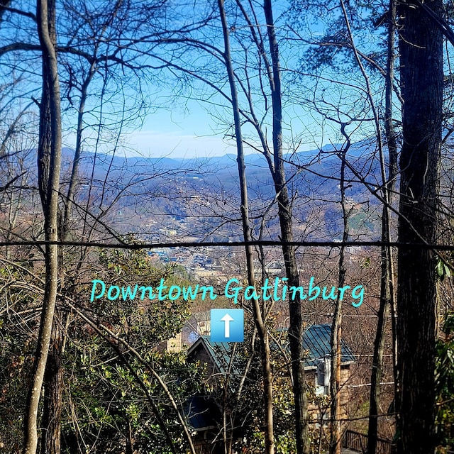 0 Zurich Rd, Gatlinburg, TN 37738 - photo 2