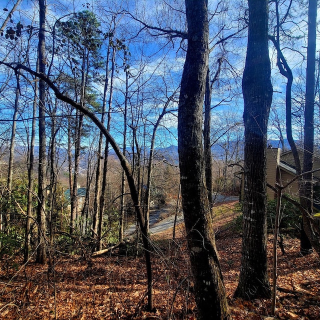0 Zurich Rd, Gatlinburg, TN 37738 - photo 17