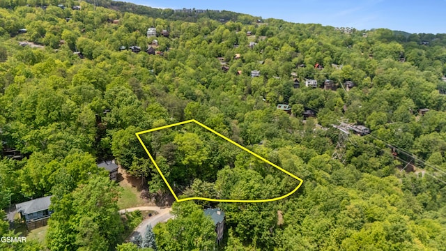 0 Zurich Rd, Gatlinburg, TN 37738 - photo 3
