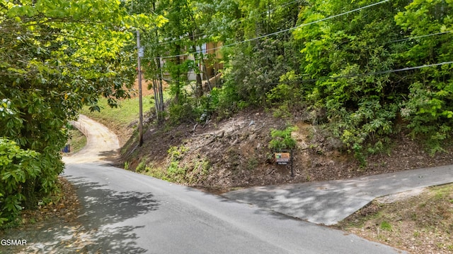 0 Zurich Rd, Gatlinburg, TN 37738 - photo 8