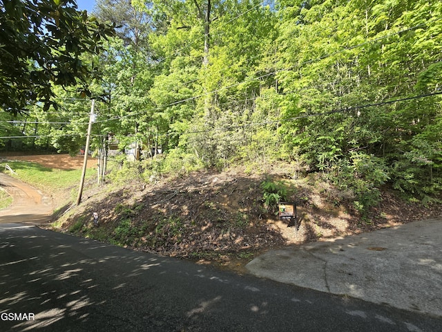 0 Zurich Rd, Gatlinburg, TN 37738 - photo 9