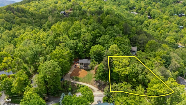 0 Zurich Rd, Gatlinburg, TN 37738 - photo 4