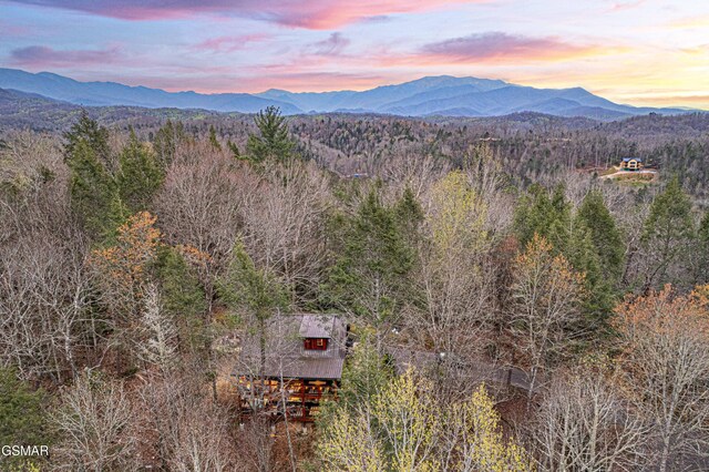 3115 E E Pkwy, Gatlinburg, TN 37738 - bird's eye view with a forest view and a mountain view