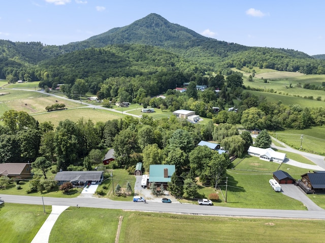 aerial view with a mountain view