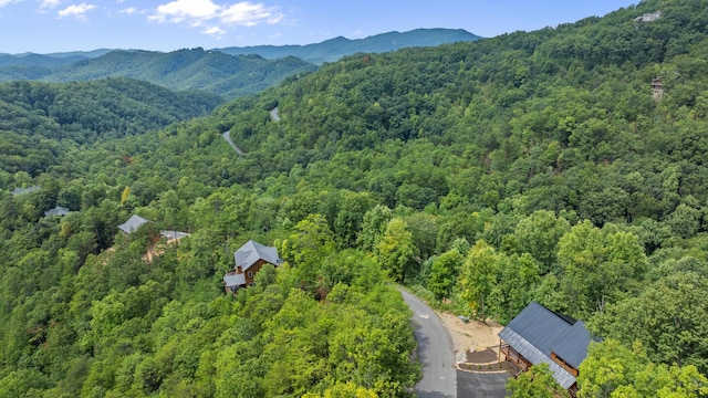 drone / aerial view featuring a mountain view