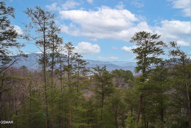 2862 Indigo Ln, Sevierville, TN 37862 - mountain view featuring a heavily wooded area