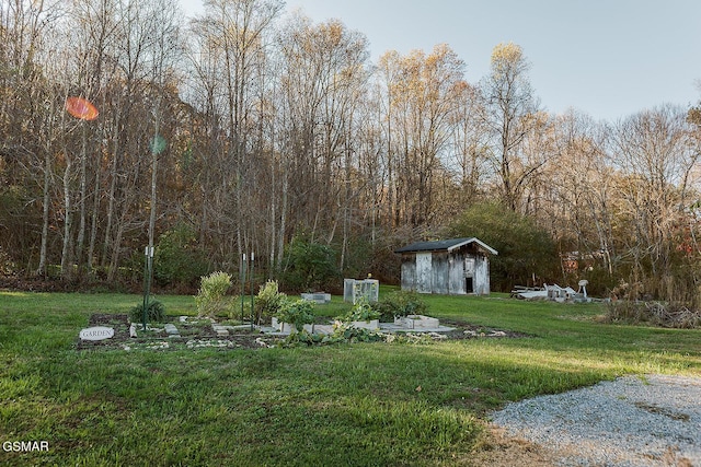 view of yard featuring a storage shed