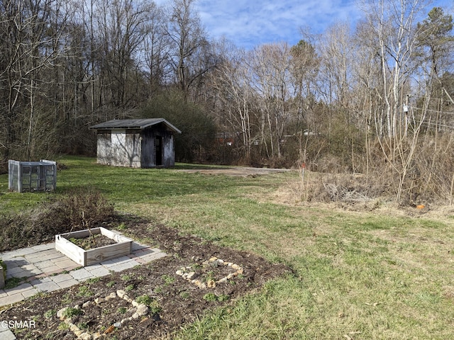 view of yard featuring a storage unit