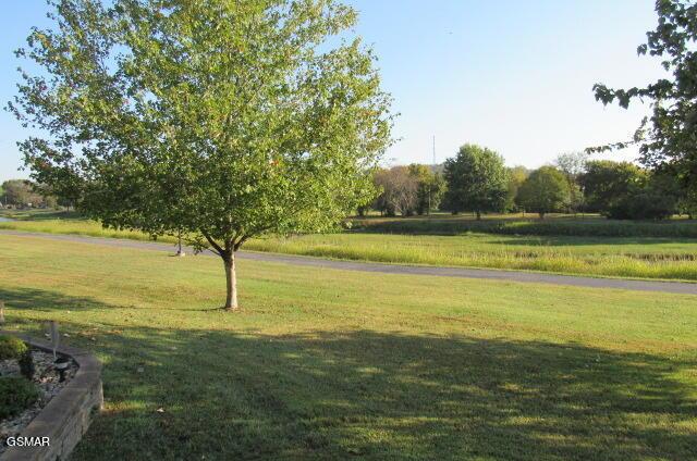 view of home's community featuring a yard