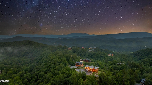 3142 Laughing Pine Ln, Sevierville, TN 37862 - photo 64