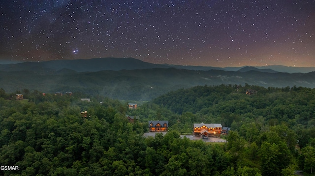 3142 Laughing Pine Ln, Sevierville, TN 37862 - photo 63