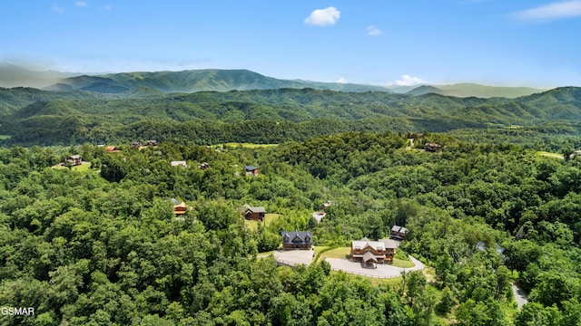3142 Laughing Pine Ln, Sevierville, TN 37862 - photo 67