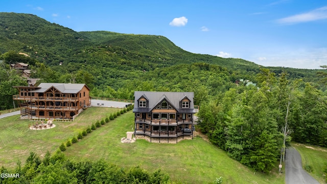3142 Laughing Pine Ln, Sevierville, TN 37862 - photo 59