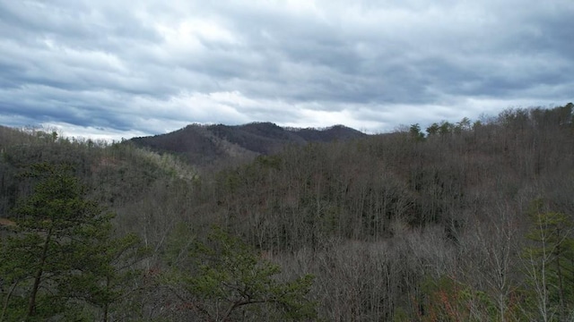 2875 Happy Hollow Rd, Sevierville TN, 37862 land for sale