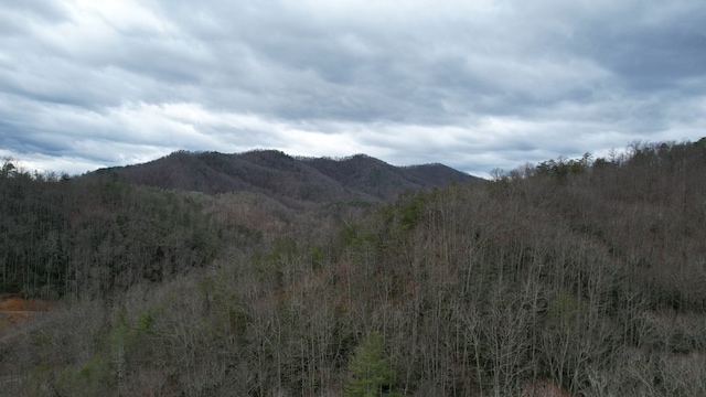 Listing photo 3 for 2875 Happy Hollow Rd, Sevierville TN 37862