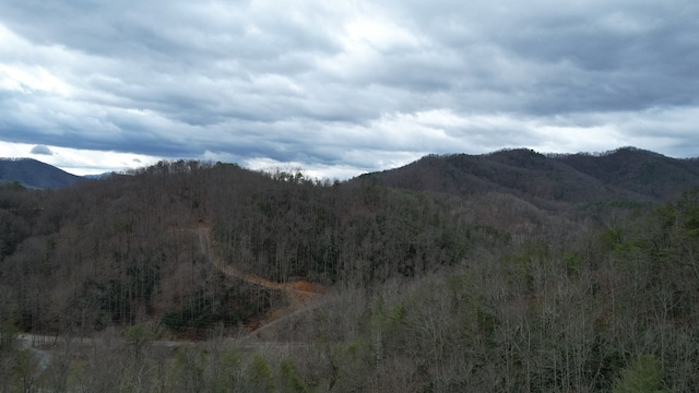 Listing photo 2 for 2875 Happy Hollow Rd, Sevierville TN 37862