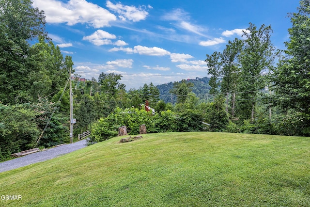1106 Little Smoky Rd, Gatlinburg, TN 37738 - photo 26