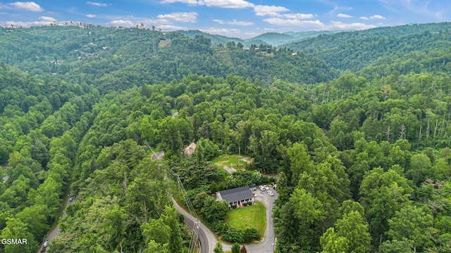 1106 Little Smoky Rd, Gatlinburg, TN 37738 - photo 27