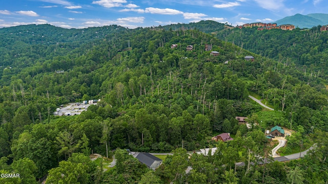 1106 Little Smoky Rd, Gatlinburg, TN 37738 - photo 28