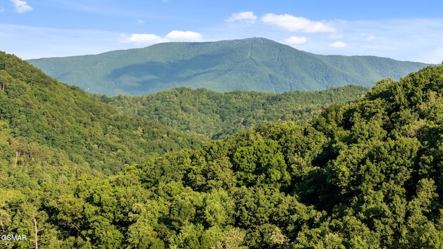 2715 Pine Crest Ln, Sevierville, TN 37876 - photo 51