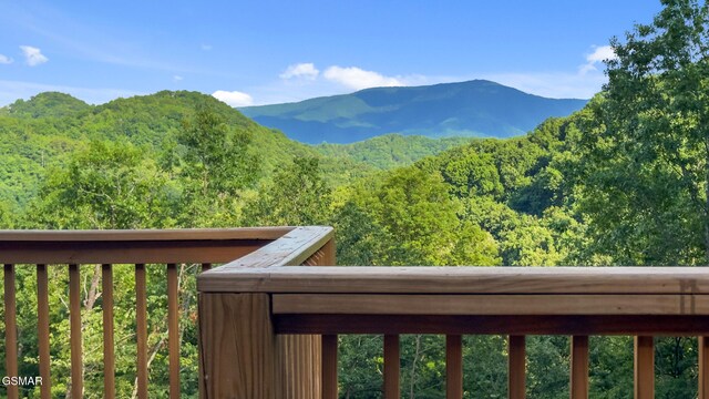 2715 Pine Crest Ln, Sevierville, TN 37876 - photo 41