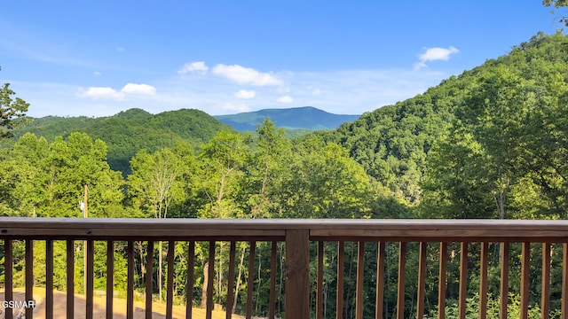 2715 Pine Crest Ln, Sevierville, TN 37876 - photo 37