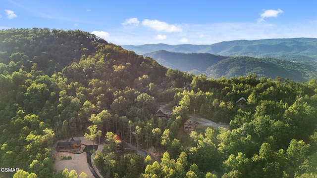 2715 Pine Crest Ln, Sevierville, TN 37876 - photo 52
