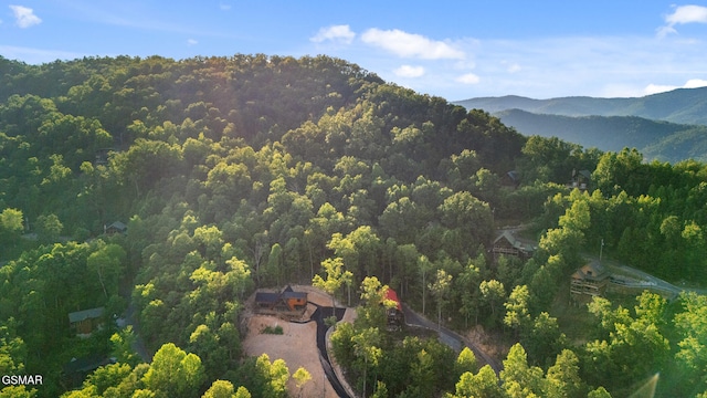 2715 Pine Crest Ln, Sevierville, TN 37876 - photo 50