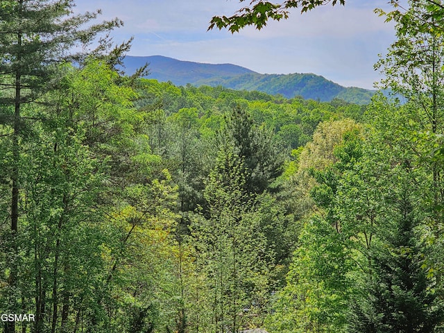 property view of mountains featuring a wooded view