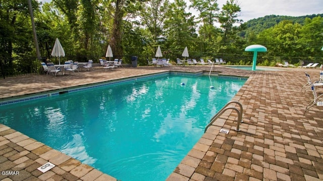 view of swimming pool featuring a patio