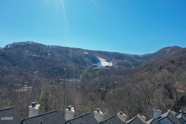 property view of mountains