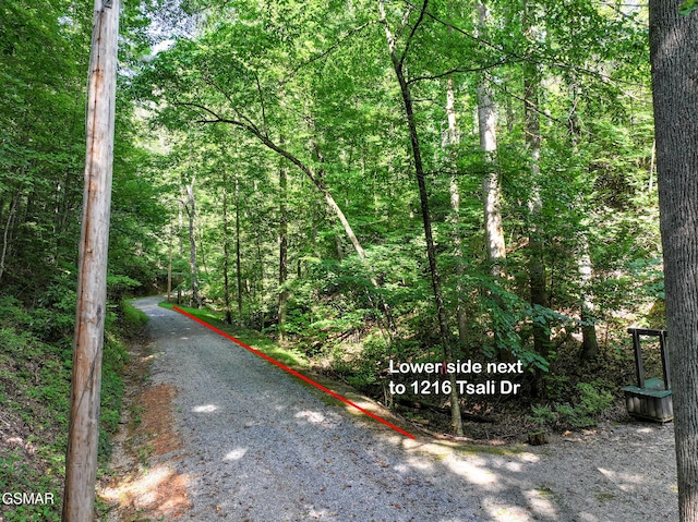 199 Tsali Way, Sevierville, TN 37876 - photo 5